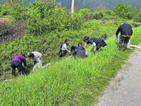 I volontari ripuliscono la piana dai rifiuti, successo per l’appello Città Nuova