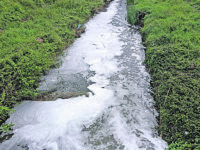 Nel torrente Rava l’Earth day si ‘festeggia’ con la schiuma