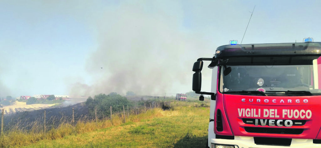 Termoli. Una dozzina di ettari in fumo tra bosco, incolto e grano: Vigili del fuoco al lavoro con 3 squadre