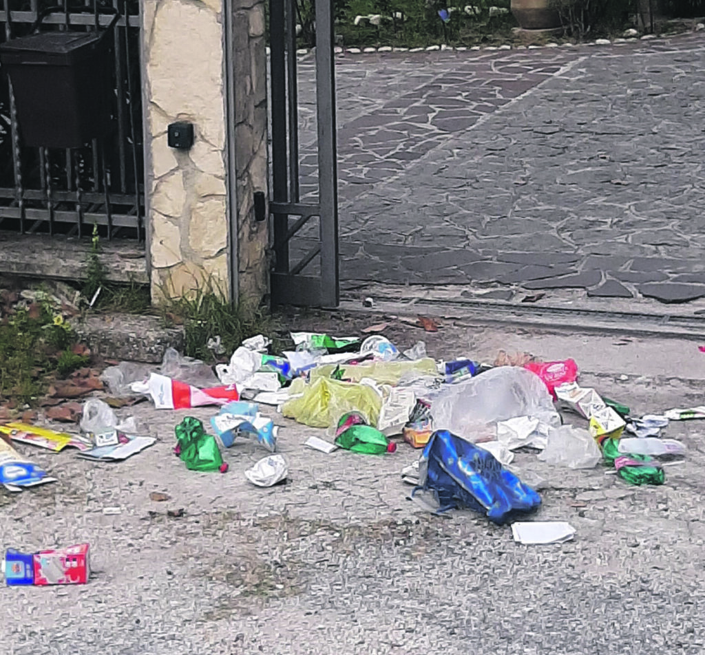 Isernia. Cinghiali, è il nuovo incubo: sale la paura a San Lazzaro