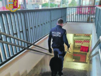 Isernia. A casa eroina e cocaina, giovane ai domiciliari finisce dietro le sbarre