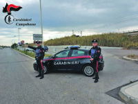 Termoli. Ladri di semafori, rubati persino due impianti amovibili sulla Tangenziale