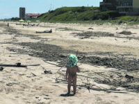 «Questa spiaggia non è a misura di bambini»