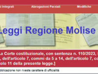 «Irrimediabilmente oscura», altra norma cancellata dalla Consulta