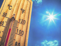 Afa e temperature roventi, adesso l’estate fa sul serio