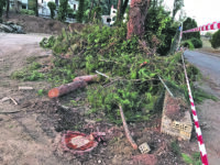 «Che sta succedendo al parco di Termoli?»