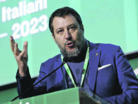 MATTEO SALVINI MINISTRO