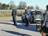 Termoli. Aveva in casa un chilo e mezzo di droga, arrestato un giovane