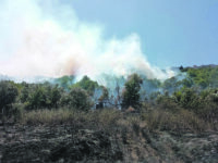 Pomeriggio ‘infernale’ a Ferrazzano, pineta in fiamme a ridosso delle abitazioni