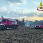 Olivella, in fumo tre ettari di bosco e un’azienda agricola: morti diversi animali