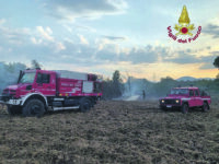 Olivella, in fumo tre ettari di bosco e un’azienda agricola: morti diversi animali