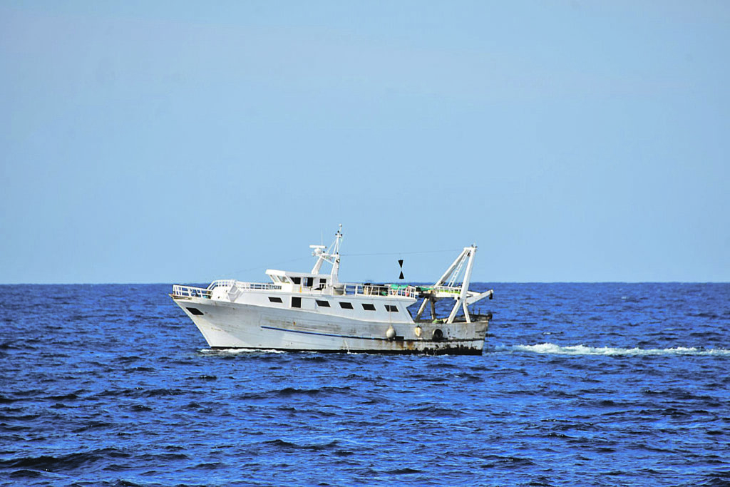 Fermo pesca 2021, ecco finalmente la graduatoria