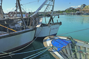 Dopo il fermo biologico si torna in mare da questa sera