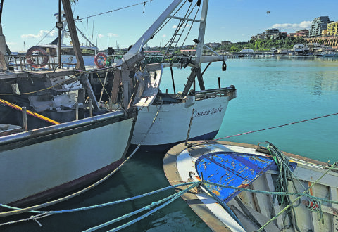 Dopo il fermo biologico si torna in mare da questa sera