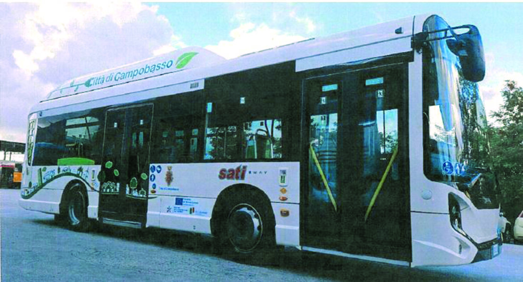 Campobasso. Bando sul trasporto, per il Tar la Sati andava esclusa