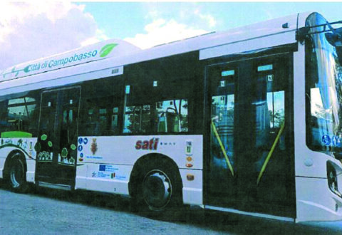 Campobasso. Bando sul trasporto, per il Tar la Sati andava esclusa