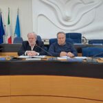 Liste d’attesa e centrali operative, audizione dei vertici in Commissione