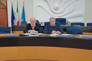 Liste d’attesa e centrali operative, audizione dei vertici in Commissione