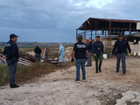 Pascoli e terreni fanno gola alle mafie, alziamo la guardia