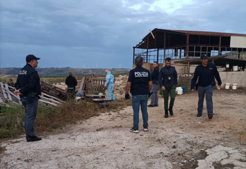 Pascoli e terreni fanno gola alle mafie, alziamo la guardia