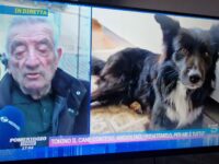 Cane conteso ad Agnone, soluzione vicina ma il signor Angiolino accusa un malore