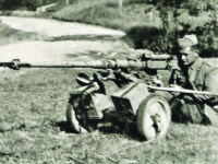 Il contributo dei molisani alla guerra di Liberazione