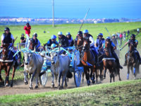 Carrese e denunce, animalisti all’attacco
