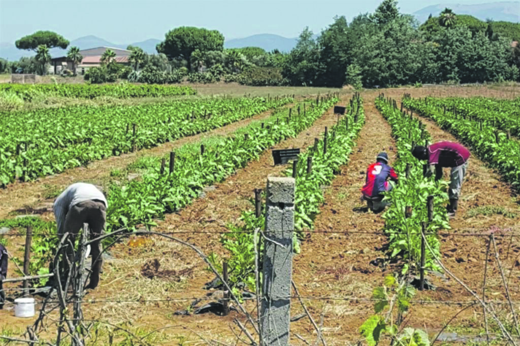 Lavoro irregolare, il Molise si tiene stretto il “primato”