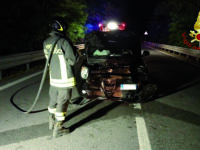 Cinghiali: un autentico pericolo sulla strada