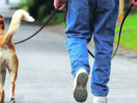 Deiezioni canine, arriva la stretta del Comune