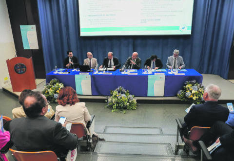 Quadro stazionario, l’economia del Molise nel 2025 si è fermata