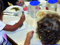 Mensa per i piccoli a scuola, in Molise l’aumento record