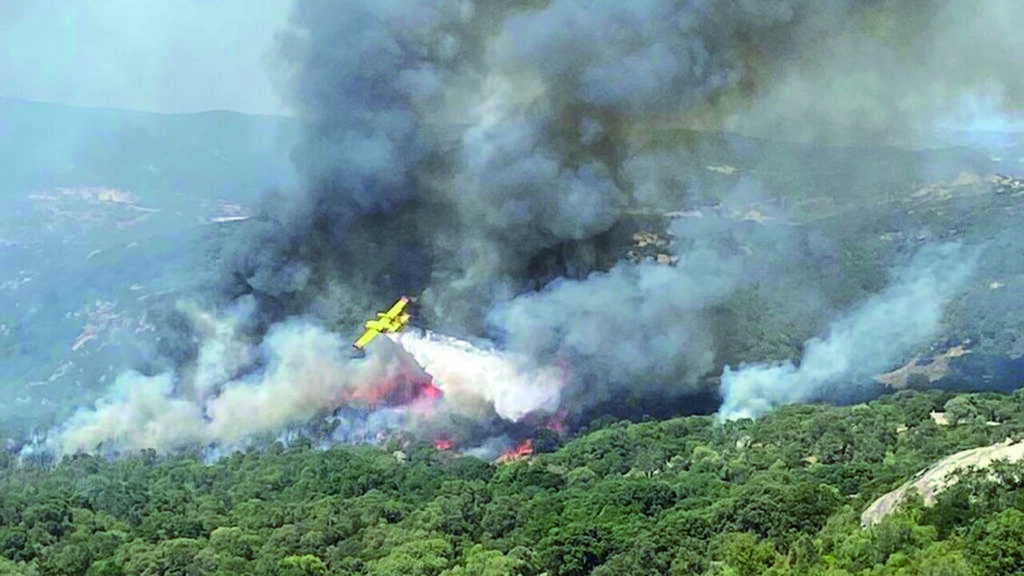 Satellite alleato contro i roghi Molise nella rete Fire detection