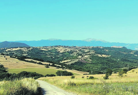 Il 2026 è l’anno della destinazione Molise. Spesa e soggiorni: vincono le aree interne