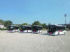 Accessibili e innovativi, la città si dota di sei nuovi bus elettrici