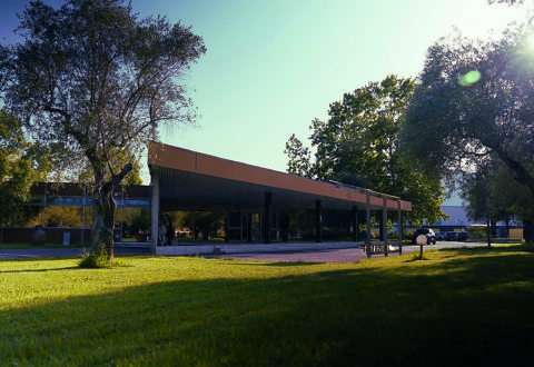 Medicine and Surgery, il corso a UniNeuromed