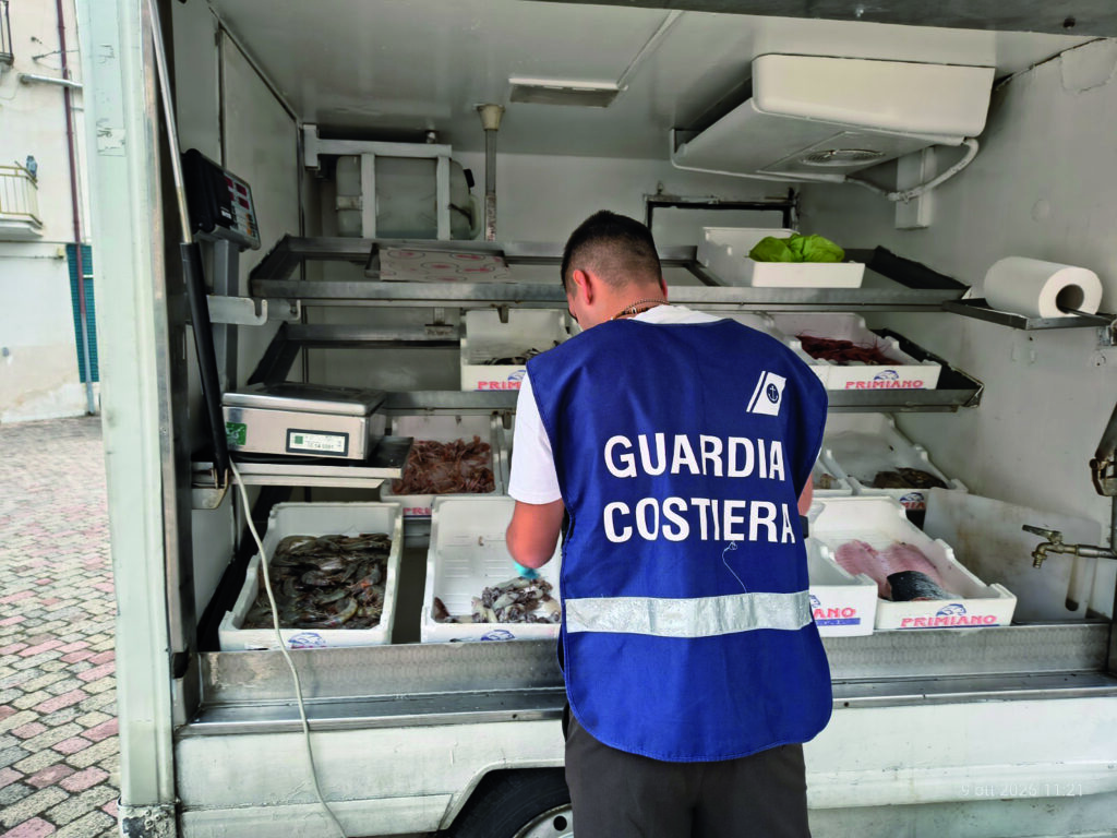 Stretta della Guardia Costiera, sequestrati  40 chili di pesce: 6mila euro di multe