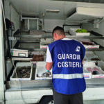 Stretta della Guardia Costiera, sequestrati  40 chili di pesce: 6mila euro di multe