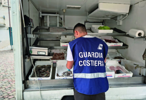 Stretta della Guardia Costiera, sequestrati  40 chili di pesce: 6mila euro di multe