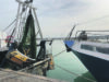 Meno tagli alle giornate in Adriatico e Cisoa in manovra