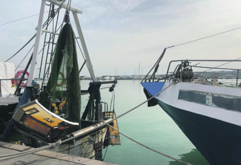 Meno tagli alle giornate in Adriatico e Cisoa in manovra