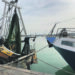 Meno tagli alle giornate in Adriatico e Cisoa in manovra